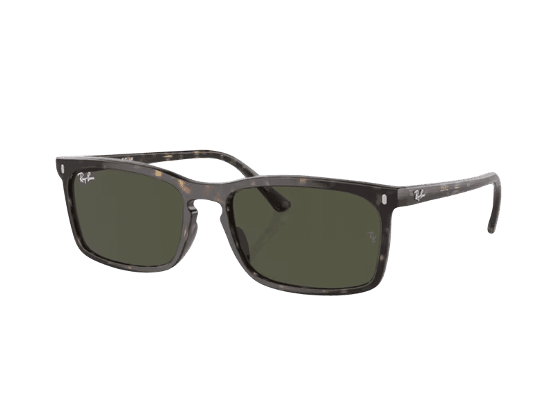 Ray-Ban Zonnebrillen RB4435 902/31
