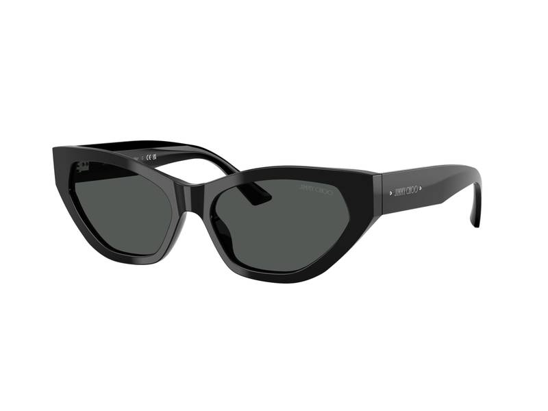 Zonnebrillen Jimmy Choo JC5022B 500087 afbeelding