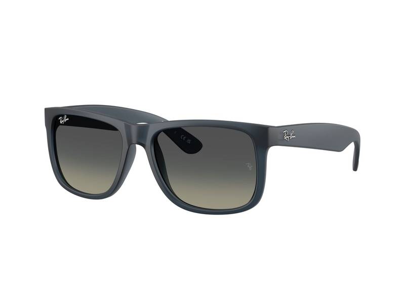 Ray-Ban âRB4165 â681311