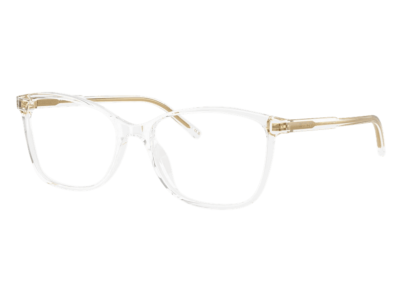 Levně Dolce & Gabbana DG3424 3133